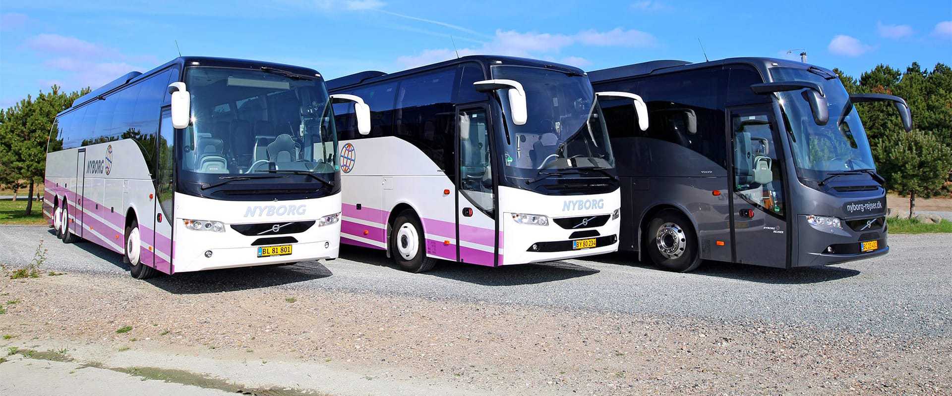 3-busser-paa-stribe-Nyborg Rejser