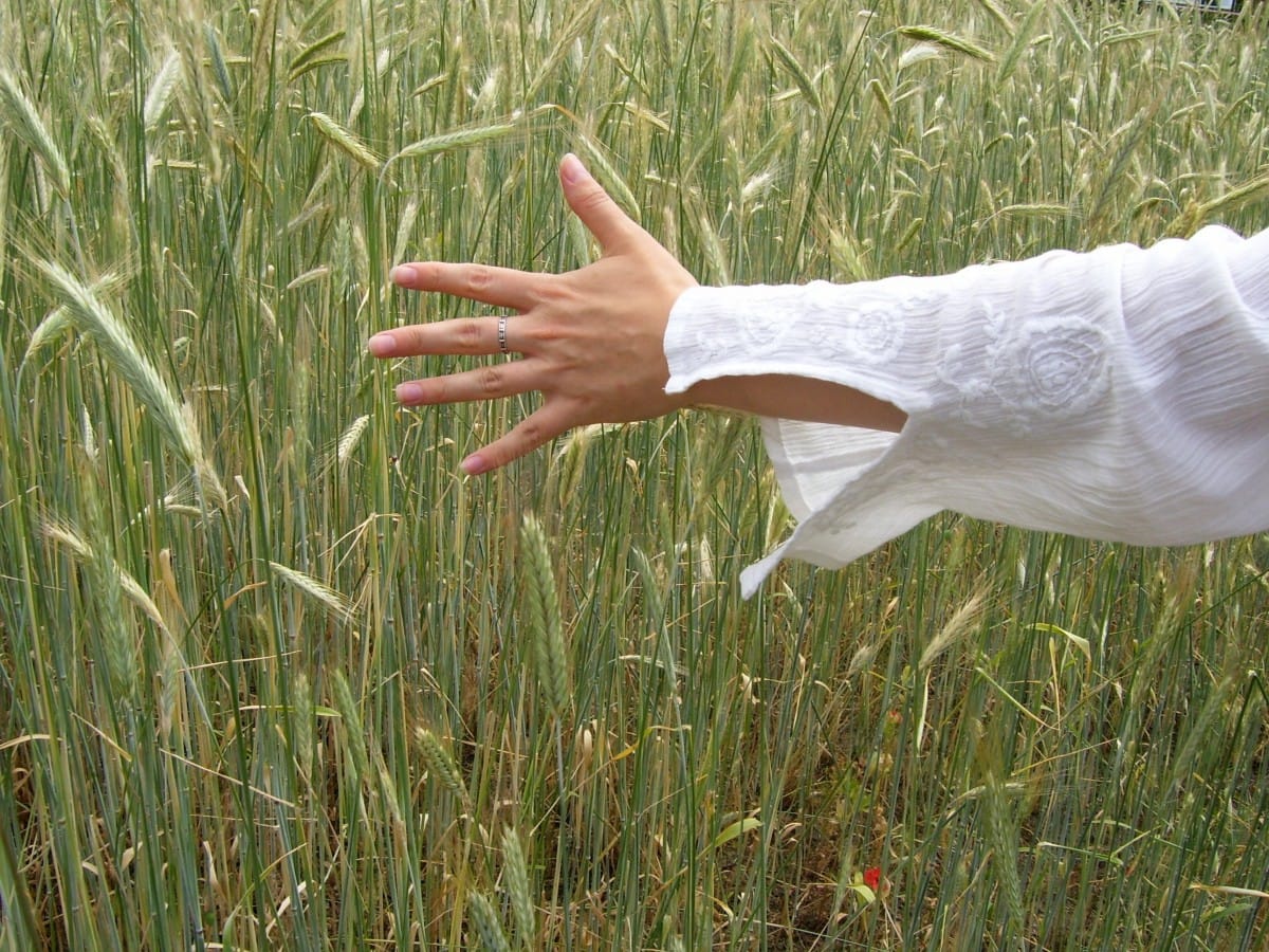 Nyborg Rejser A/S rejseforsikring